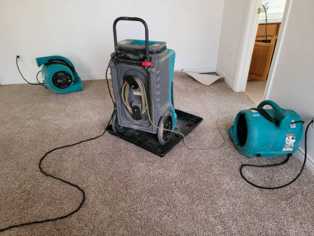 Best Water damage contractors near me  in Vinita, OK