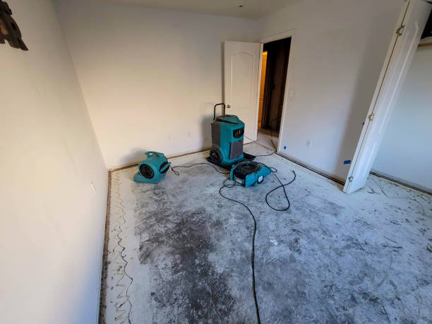 Best Water damage restoration services  in Vinita, OK