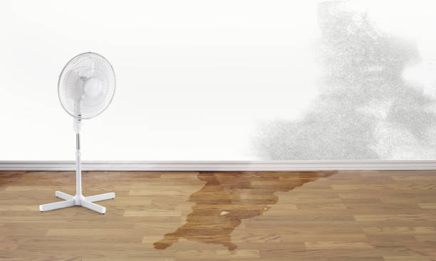Trusted Vinita, OK Water damage restoration Experts