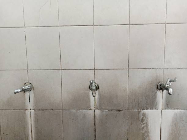 Best Ceiling water damage repair  in Vinita, OK