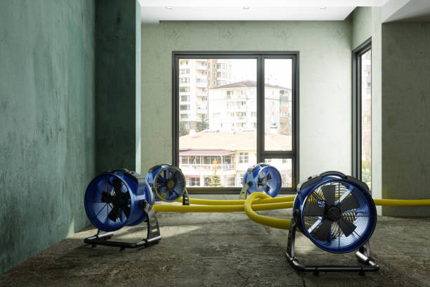 Water damage restoration mold remediation in Vinita, OK